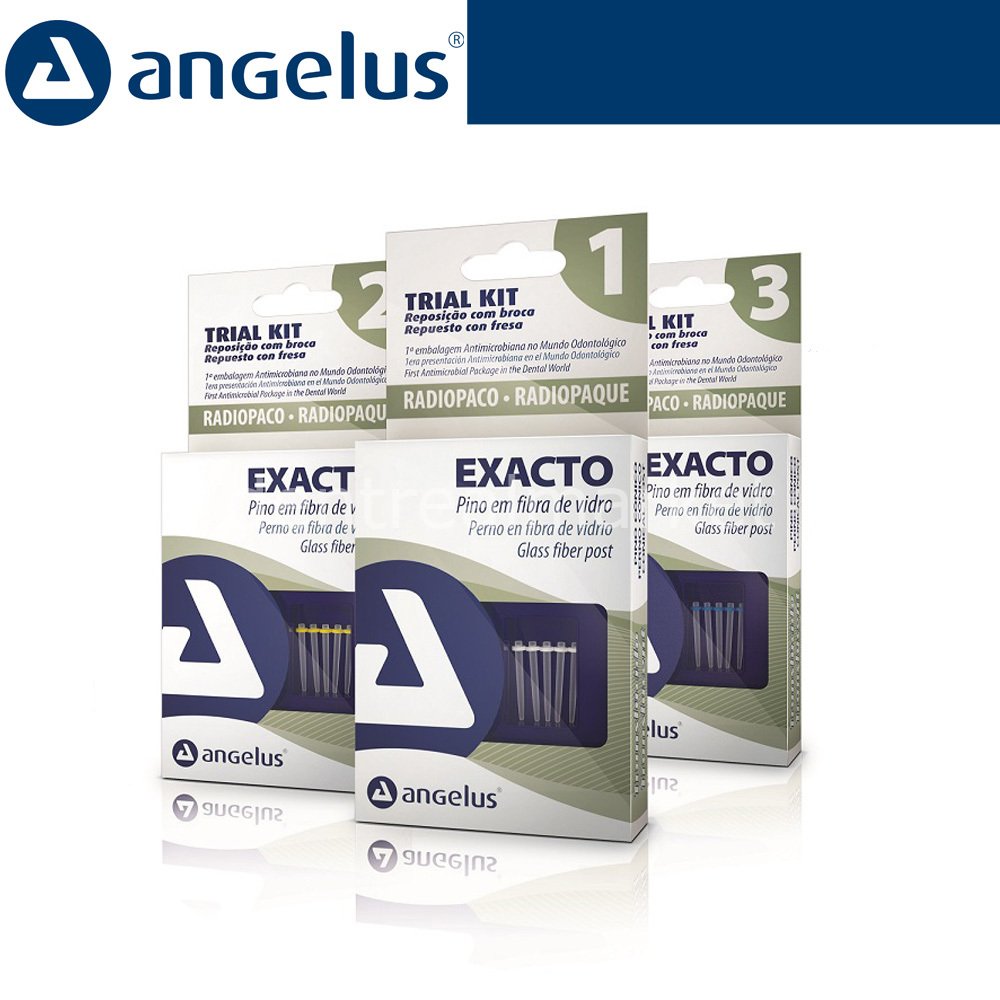 Exacto Translucido Fiber Post Refil