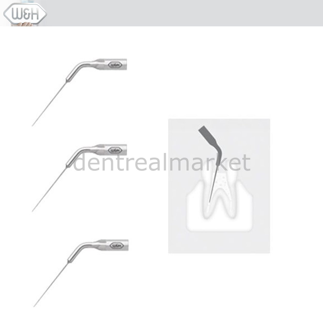 Kavitron-Scaler Uçları- Endo Uç Set