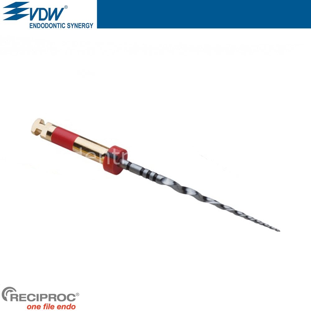 Reciproc Rotary Kanal Egesi 4'lük Blister