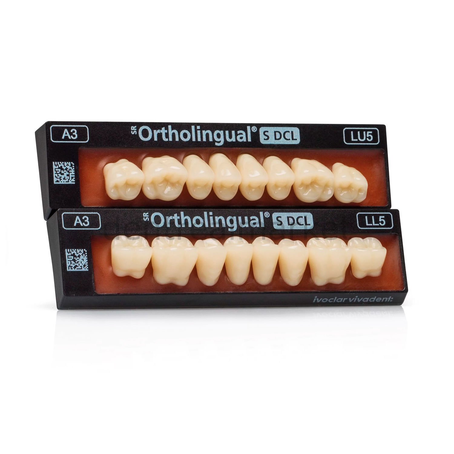 SR Orthotyp S DCL Üst Posterior Diş 8'lik