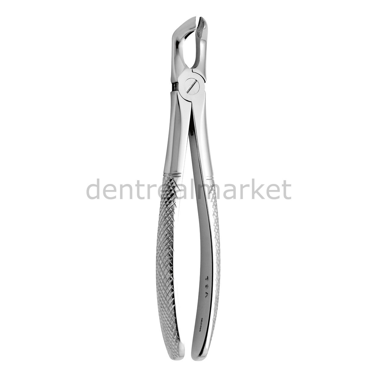 Yetişkin Davye - 79A