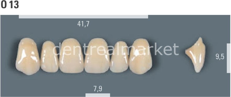 Vitapan Takım Diş 28'lik 3D Master 2L1.5 - 0 13