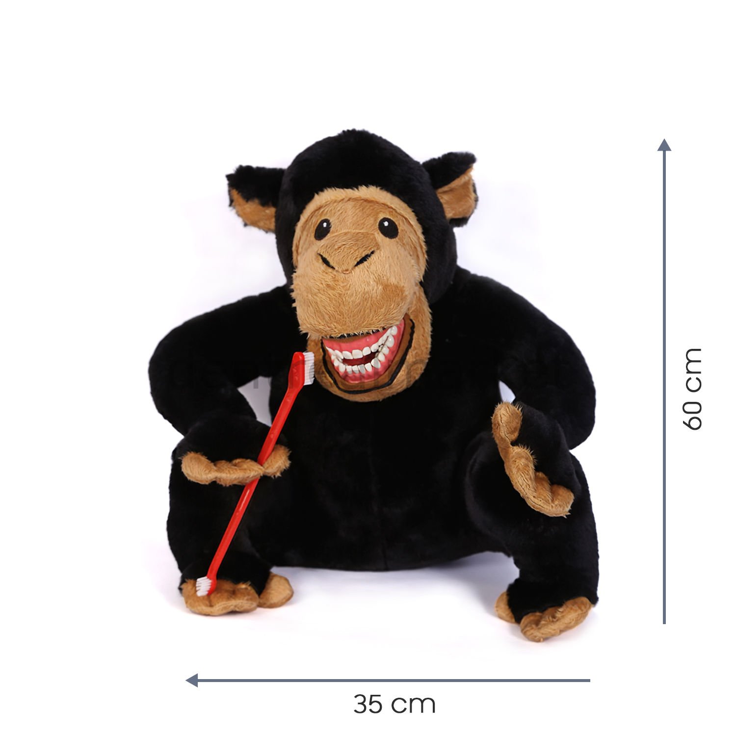 Black Monkey - Siyah Maymun Diş Fırçalama Eğitim Modeli