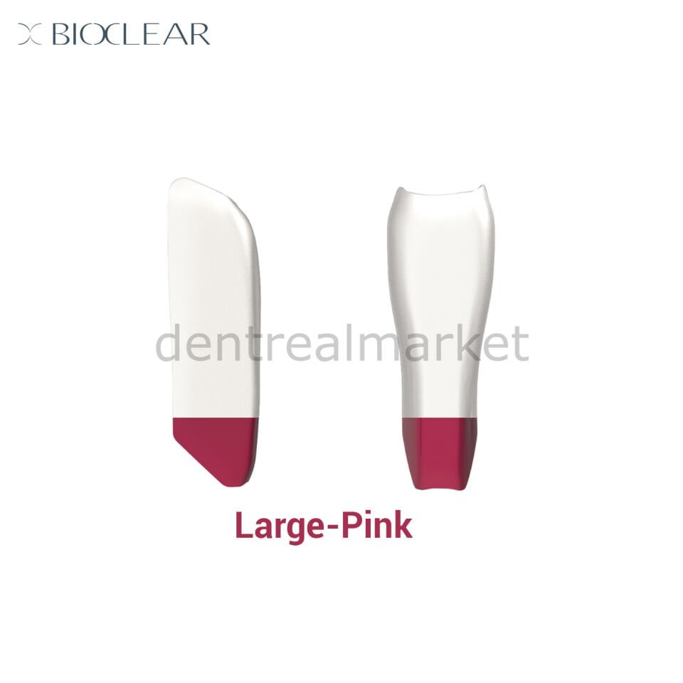 Black Triangle Individual Matrix - Large/Pink - 10 Adet