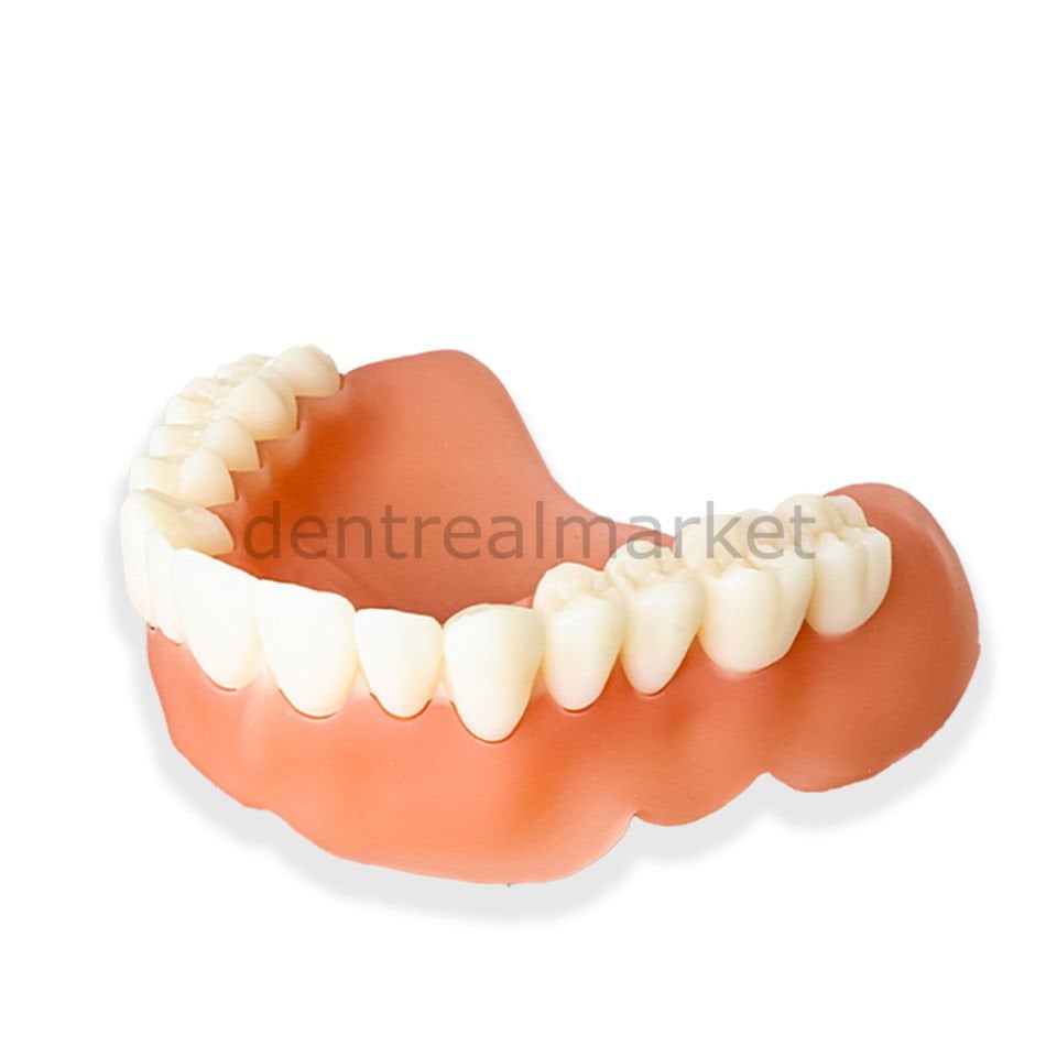 3D Yazıcı Reçine Denture - Damak Reçinesi - 1000 gr