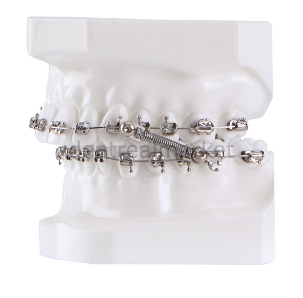 CS-2000 10 Patient Kit