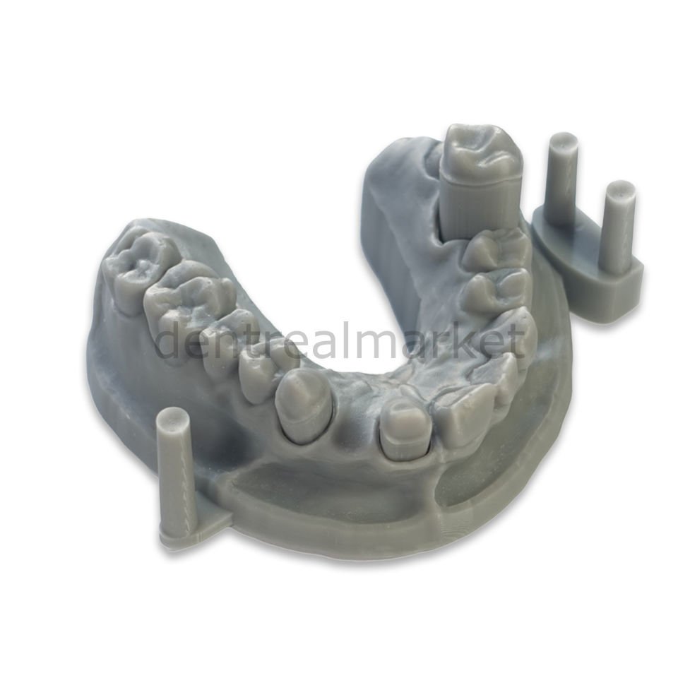 3D Yazıcı Reçine - Dental Model - 1000 gr