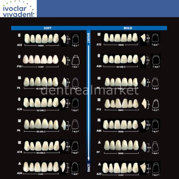 Sr Vivodent DCL Üst Anterior Diş 6'lık A3,5 - A66