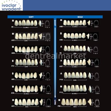Sr Vivodent DCL Üst Anterior Diş 6'lık A3,5 - A66
