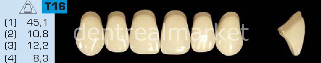 Acyrplus Plastik Diş 28 lik C3 - T16