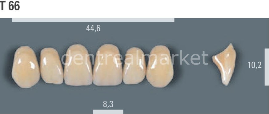 Vitapan Takım Diş 28'lik 3D Master 2R1.5 - T 66