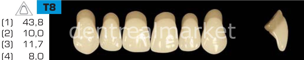 Acyrplus Plastik Diş 28 lik C3 - T8