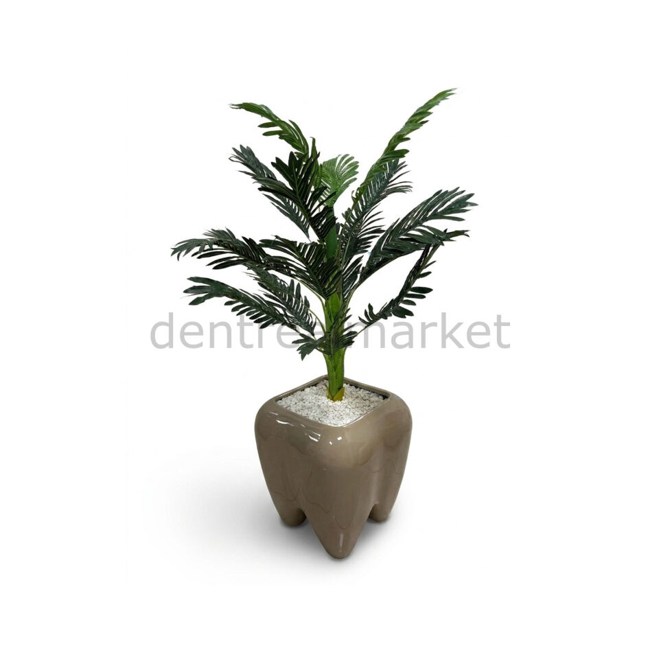New Dent | Dentrealmarket