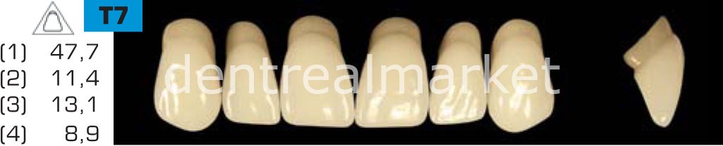 Acyrplus Plastik Diş 28 lik D2 - T7