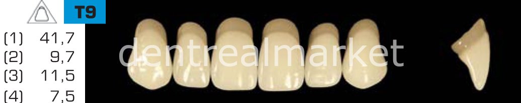 Acyrplus Plastik Diş 28 lik D2 - T9