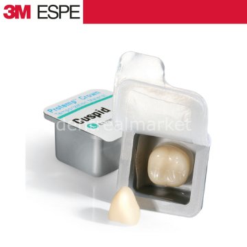 Protemp Crown Refil