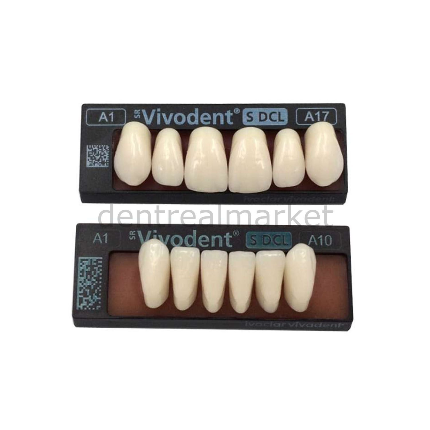 SR Vivodent S DCL Alt Anterior Dişler 6'lık
