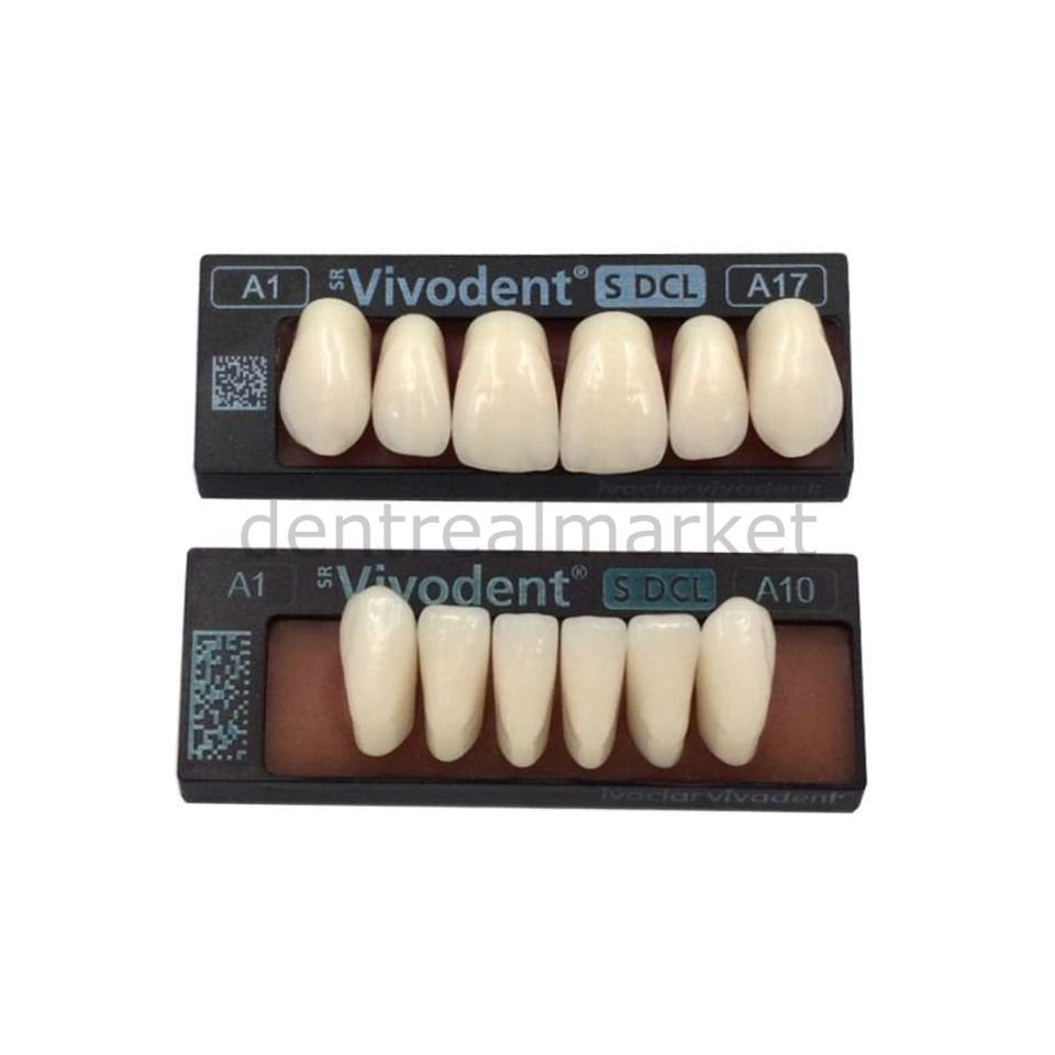SR Vivodent S DCL Alt Anterior Dişler 6'lık