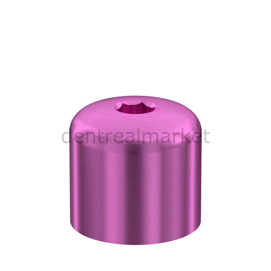 D-TYPE Healing Cap Internal Hex Özel Baglantı Parçası