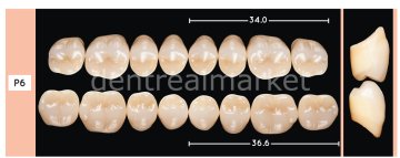 Enigmalife+ Posterior 8'lik Diş Alt - A1 - P6