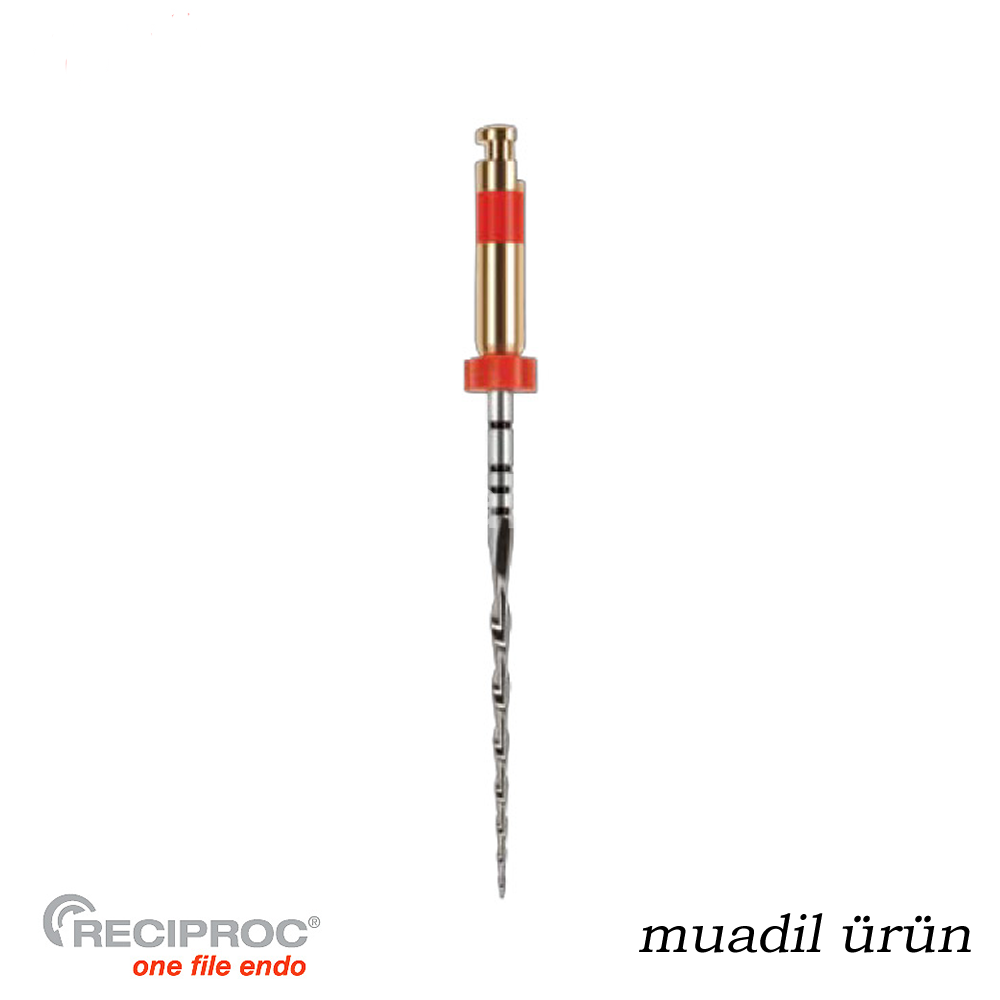 Onefile Kanal Egesi Reciproc Muadili No:25