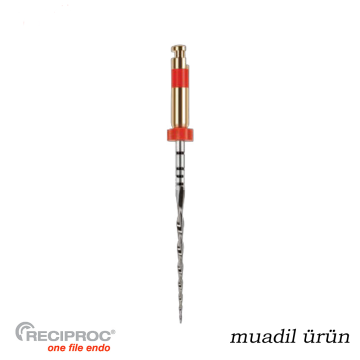 Onefile Kanal Egesi Reciproc Muadili No:25