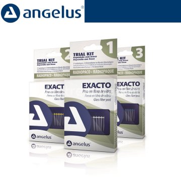 Exacto Translucido Fiber Post Refil