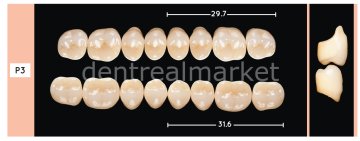 Enigmalife+ Posterior 8'lik Diş Alt - A2 - P3
