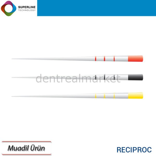 Reciproc Paper Point  Muadili