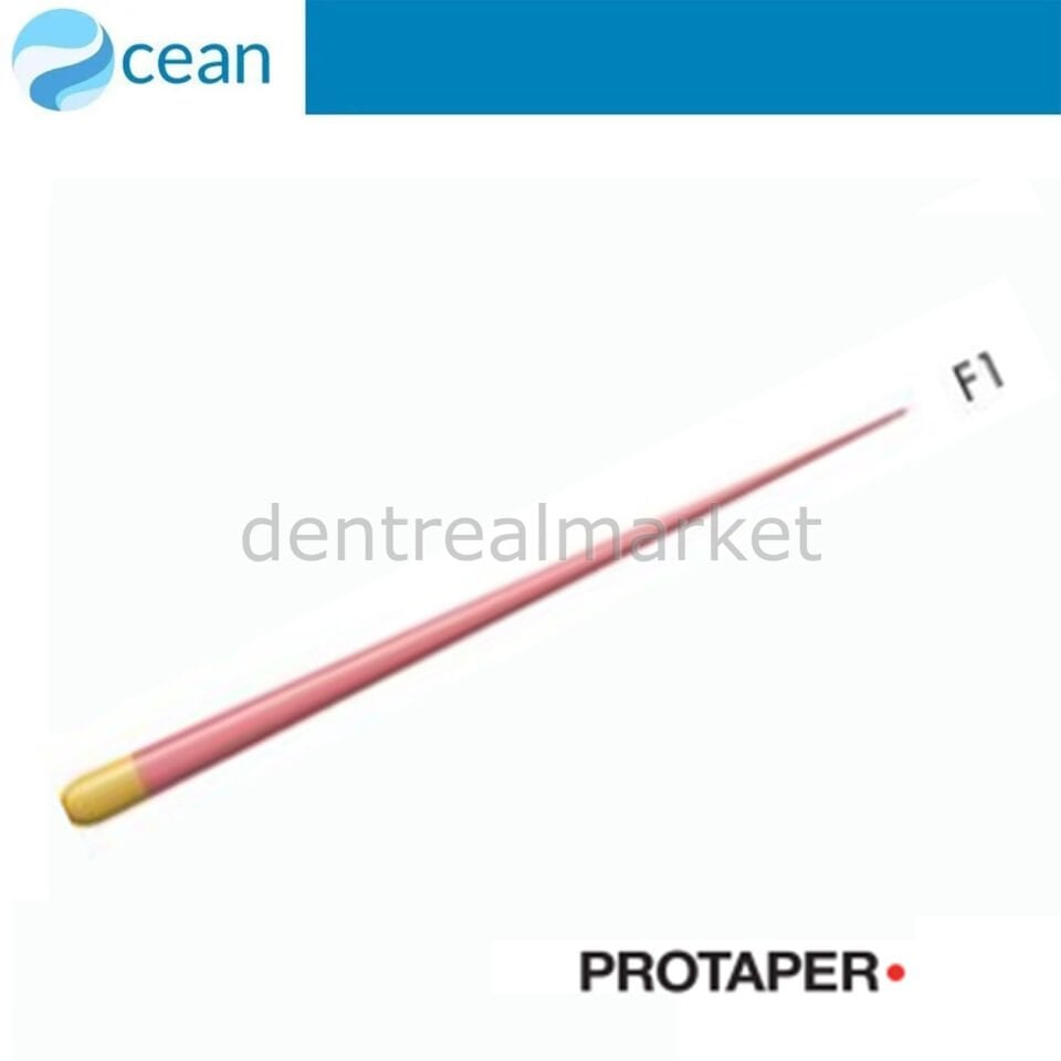 X-Protype Paper point Kurutma Kağıdı F1