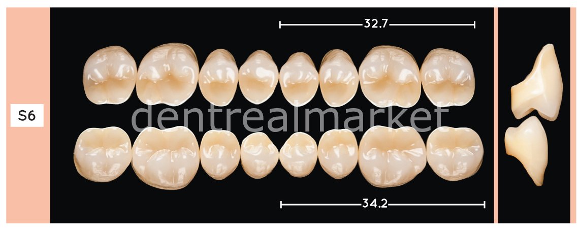 Enigmalife+ Posterior 8'lik Diş Alt - A2 - S6