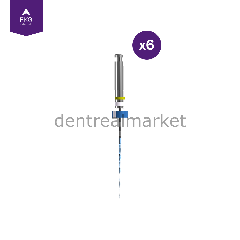 Race Evo Rotary Kanal Eğesi - 21 mm .02 Açılı - No:15