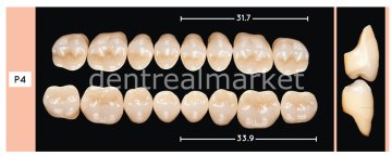 Enigmalife+ Posterior 8'lik Diş Alt - Bleach 1 - P4