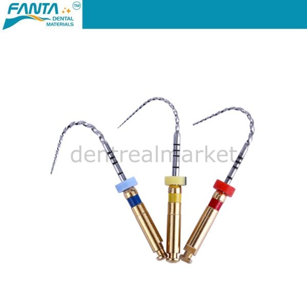 AF Rotary File Kanal Egesi