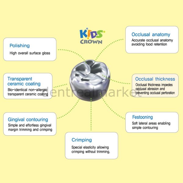 Kids Crown Paslanmaz Çelik Kuron İntro Set 48 Kron - Molar