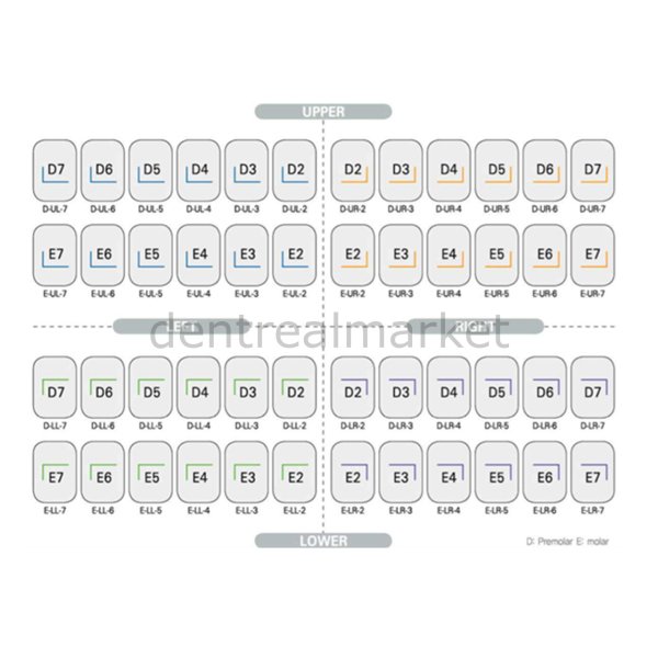 Kids Crown Paslanmaz Çelik Kuron İntro Set 48 Kron - Molar