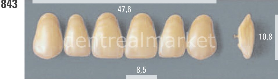 Lumin Vacum Porselen Takım Diş 28'lik C1 - 843