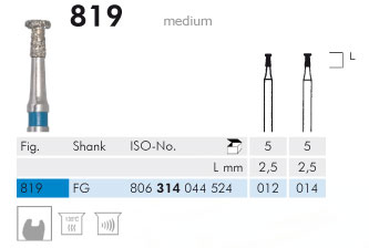 819 Sentetik Elmas Frez - 5 Adet
