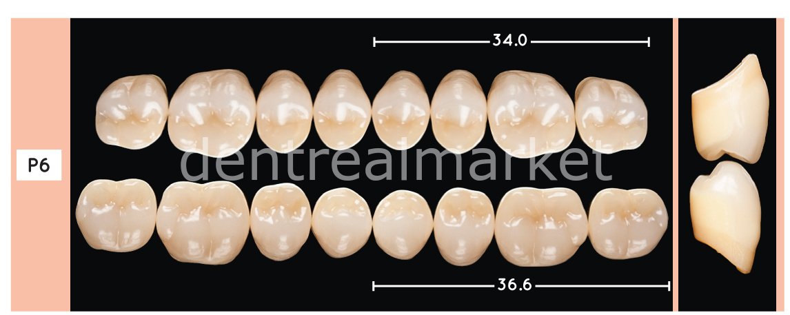 Enigmalife+ Posterior 8'lik Diş Alt - Bleach 3 - P6