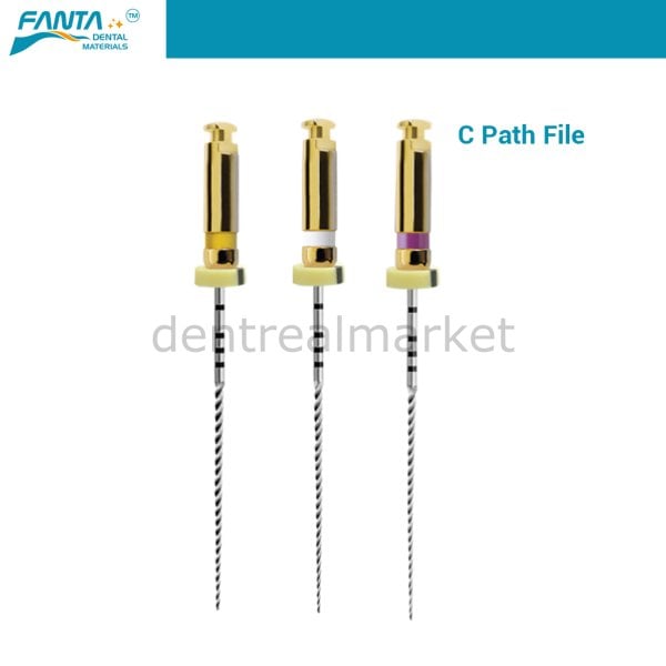 Af C-Pathfile Giriş Egesi