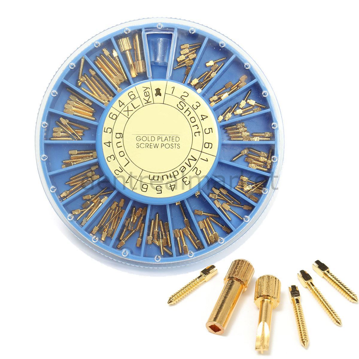 Gold Screw Post - Pivo Çivisi - 240 Adet