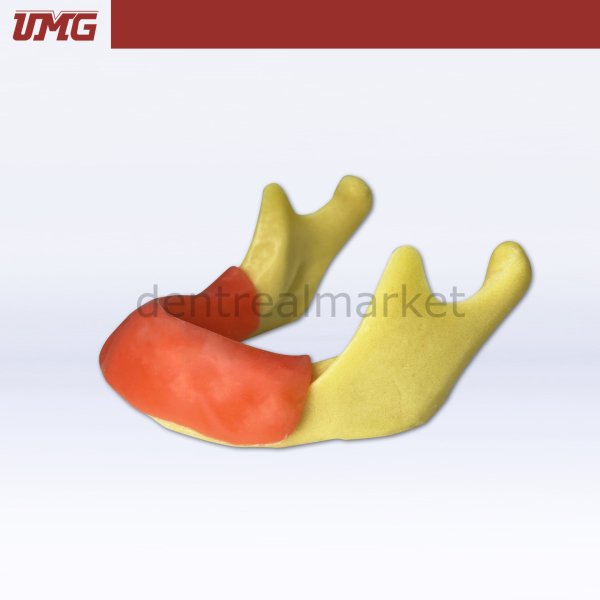 İmplant Yerleştirme Uygulaması için Anatomik Şekilli Kemik Mandibula - UM-Z12