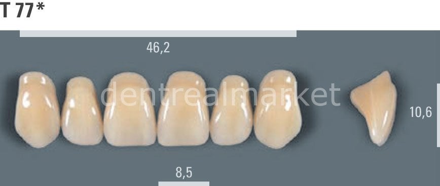 Vitapan Takım Diş 28'lik 3D Master 3L2.5 - T 77