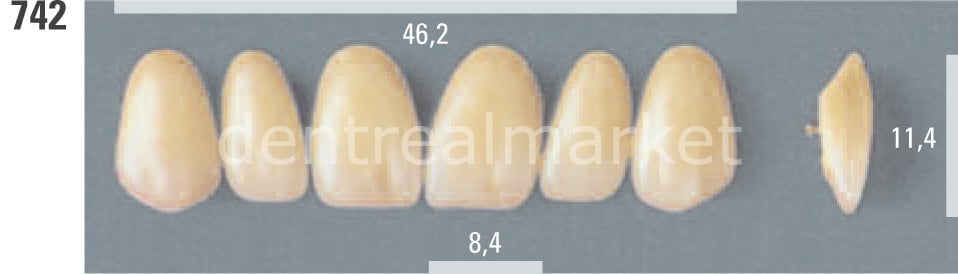 Lumin Vacum Porselen Takım Diş 28'lik C2 - 742