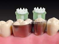 Maximat Plus Kit