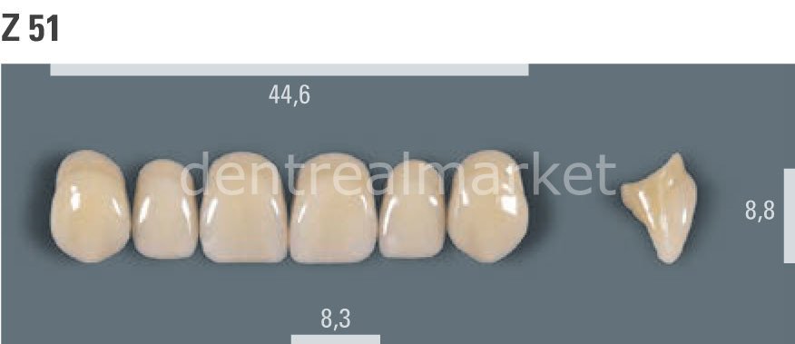 Vitapan Takım Diş 28'lik 3D Master 3L2.5 - Z 51