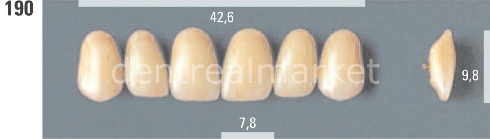 Lumin Vacum Porselen Takım Diş 28'lik C3 - 190