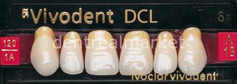 Sr Vivodent DCL Üst Anterior Diş 6'lık A3,5 - A13