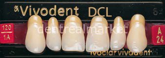 Sr Vivodent DCL Üst Anterior Diş 6'lık A3,5 - A24