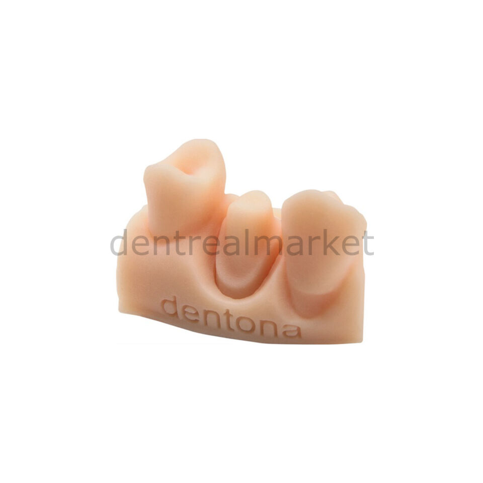 Optiprint Model - Dental Model 3D Yazıcı Reçinesi - 1000 gr